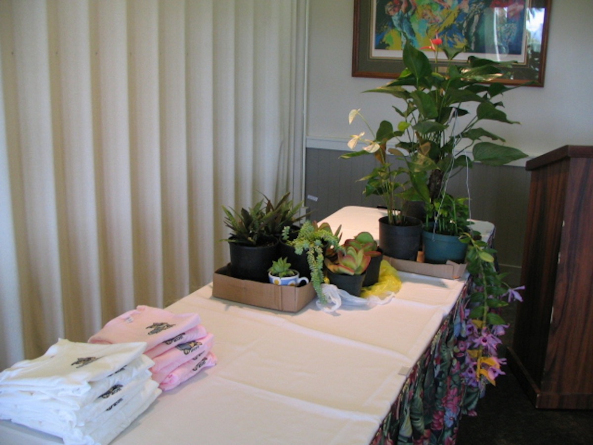 IMG0224.JPG