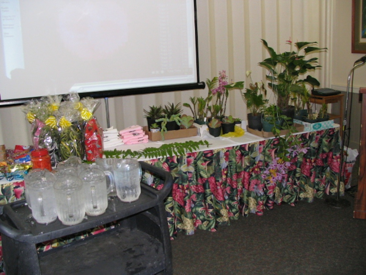 IMG0237.JPG