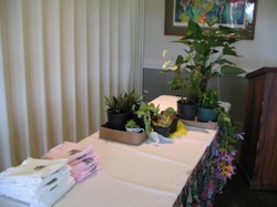 IMG0224.JPG