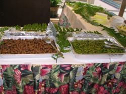 IMG0229.JPG