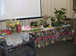 IMG0237.JPG
