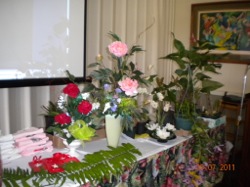DSCN0199.JPG