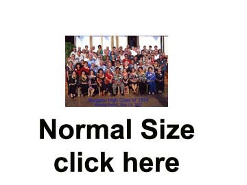 01Normal
